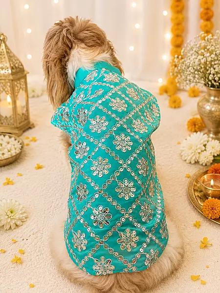 Turquoise Mirror Festive Kurta for Dogs