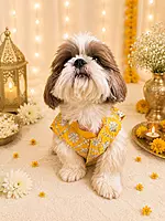 Yellow Mirror Festive Kurta for Dogs