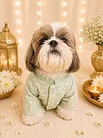 Mint Green mirror-work kurta