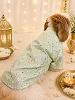 Mint Green mirror-work kurta