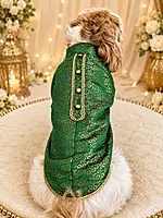 Emerald Royal Kurta