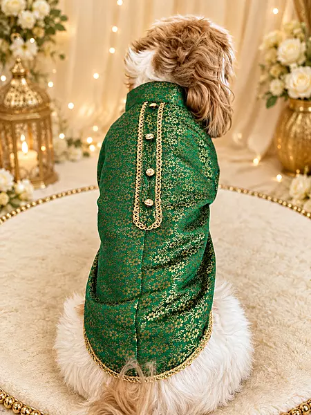 Emerald Royal Kurta
