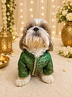 Emerald Royal Kurta