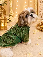 Emerald Royal Kurta