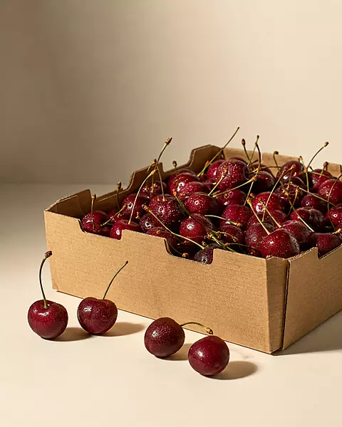 Indian Cherry