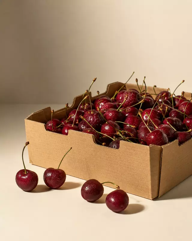 Indian Cherry