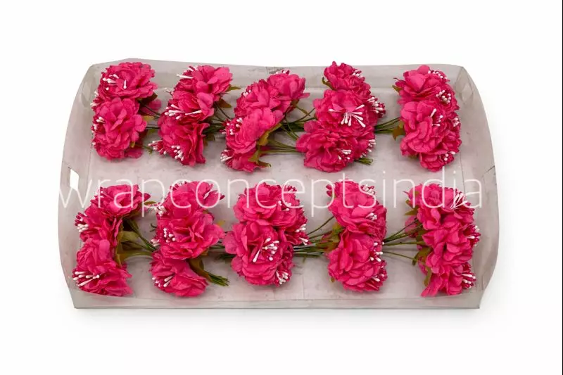 Deep Pink Windflower