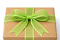 Luxury Mesh Wrap Ribbon