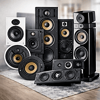 High-Fidelity Audio Consultation