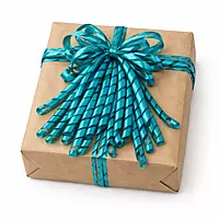 Teal Satin Shreds
