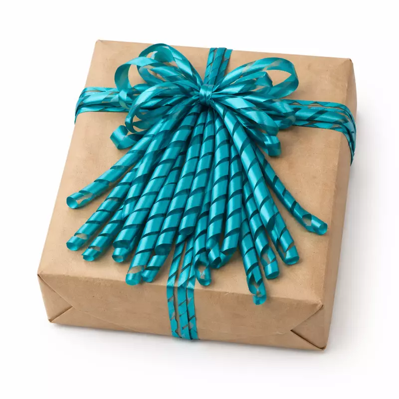 Teal Satin Shreds