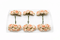 Ivory Peach Blooms
