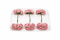 Dusty Rose Blush Bloom