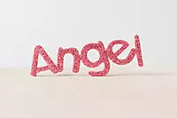 ANGEL Accessory - Pink