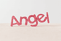 ANGEL Accessory - Pink