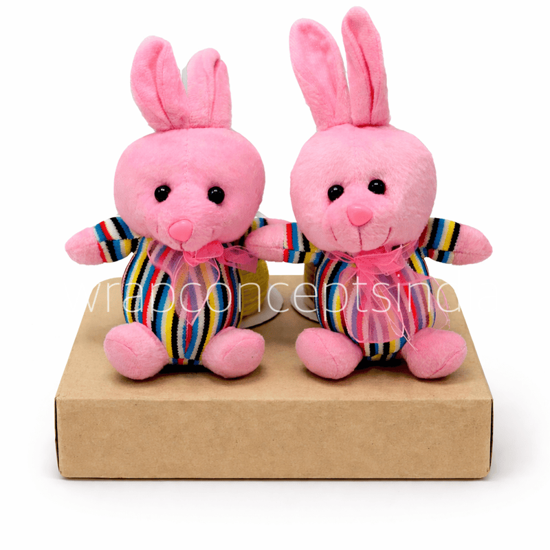Rainbow Snuggle Bunny – Pink