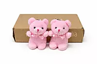 Rosy Hug Bear