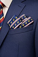 Scout Pocket Square navy