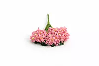 Small Silk Flowers - Blush Pink