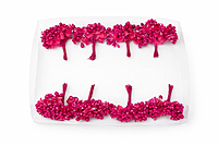 Magenta Pollens