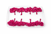 Magenta Pollens