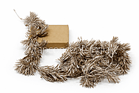 Champagne Pine Leaves String