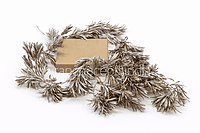 Champagne Pine Leaves String