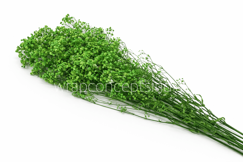 Preserved Baby Breath - Multicolour