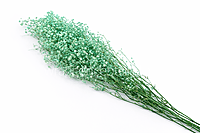 Preserved Baby Breath - Multicolour