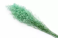 Preserved Baby Breath - Multicolour