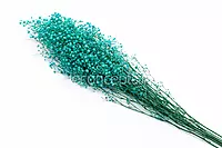 Preserved Baby Breath - Multicolour