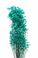 Preserved Baby Breath - Multicolour