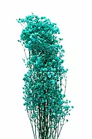 Preserved Baby Breath - Multicolour