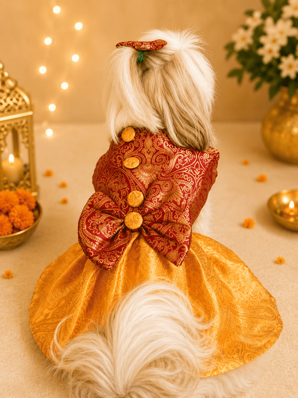 Red & Yellow Maharani Brocade Dress