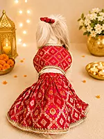 Gulnaar Pet Lehenga Choli