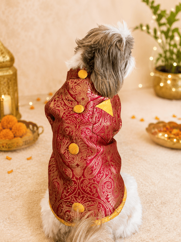 Royal Crimson Brocade Festive Kurta for Dogs