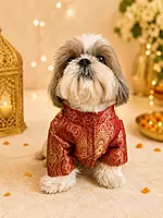 Royal Crimson Brocade Festive Kurta for Dogs