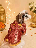 Royal Crimson Brocade Festive Kurta for Dogs