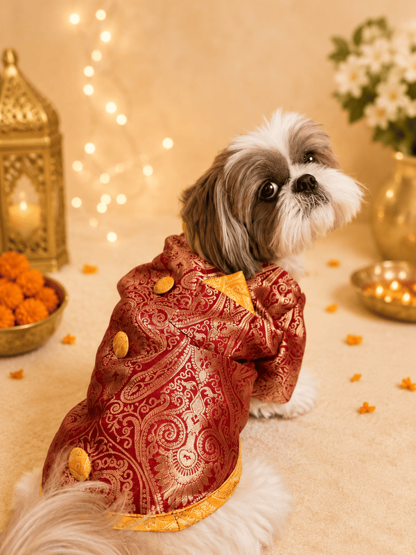 Royal Crimson Brocade Festive Kurta for Dogs