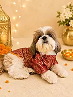 Royal Crimson Brocade Festive Kurta for Dogs