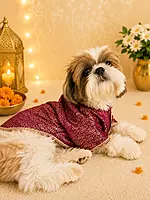 Royal Plum Brocade Sherwani