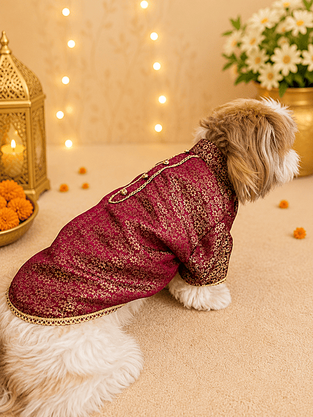 Royal Plum Brocade Sherwani
