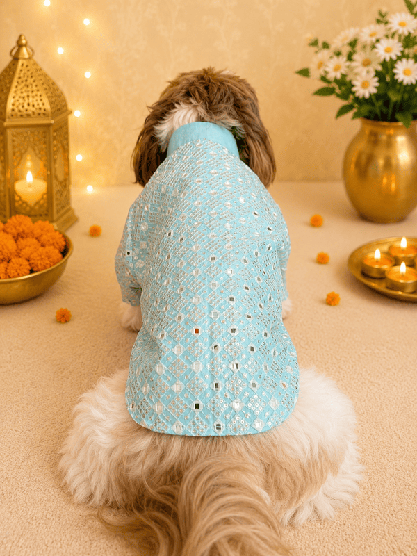 Sky Blue Mirror Work Kurta