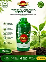 Pasura Exodus