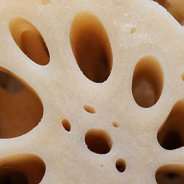 Lotus Root