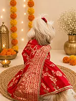 Royal Zari Dog Saree
