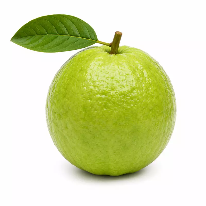 Fresh Guava (Amrood) – Sangli Premium