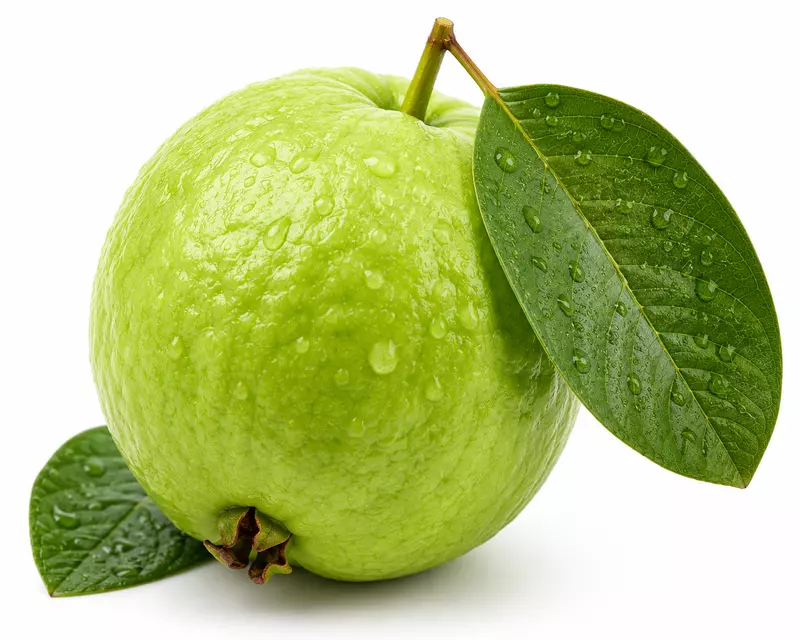 Fresh Guava (Amrood) – Sangli Premium
