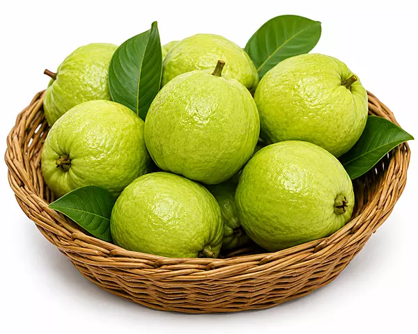 Fresh Guava (Amrood) – Sangli Premium