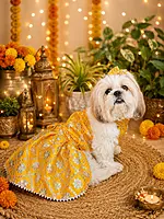 Rajwadi Yellow Lehenga Choli
